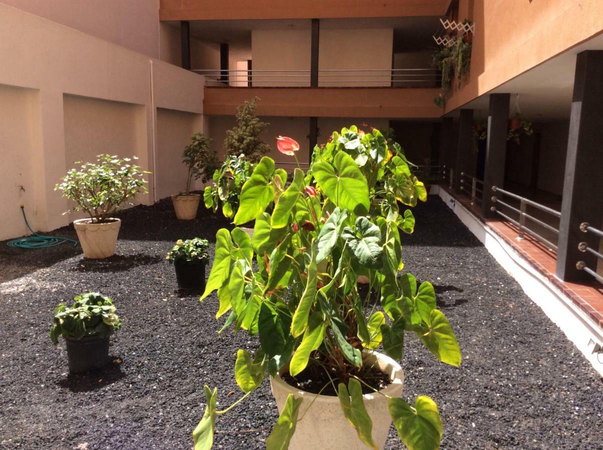 Апартаменты Martianez Puerto de la Cruz  Extérieur photo